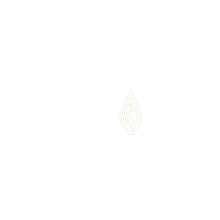 EXIM